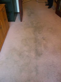 Bone Dry Carpet Cleaning 1056878 Image 4